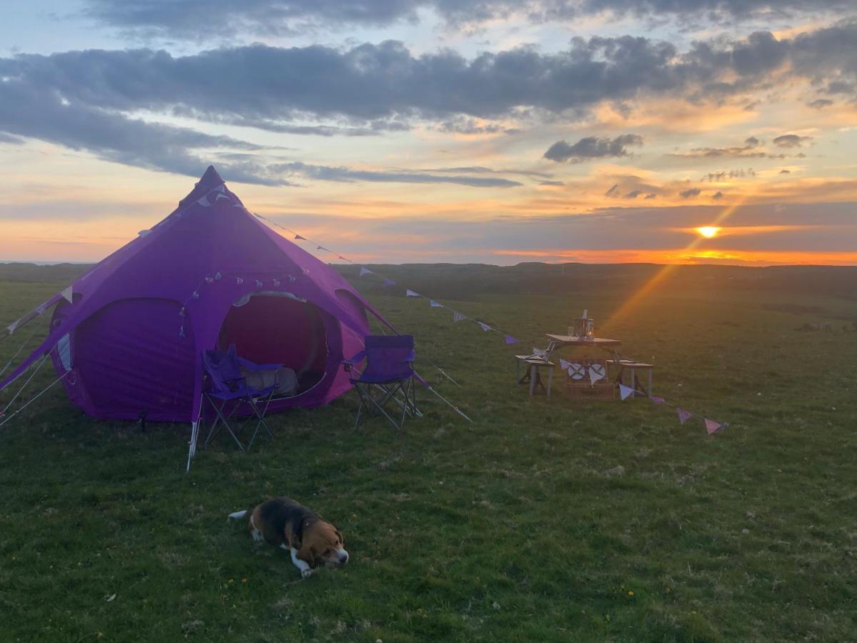 Llangwyryfon Country Breaks Bed and Breakfast Αμπερίστγουιθ Εξωτερικό φωτογραφία