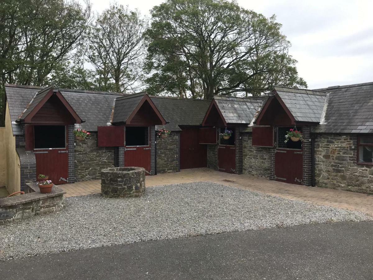 Llangwyryfon Country Breaks Bed and Breakfast Αμπερίστγουιθ Εξωτερικό φωτογραφία