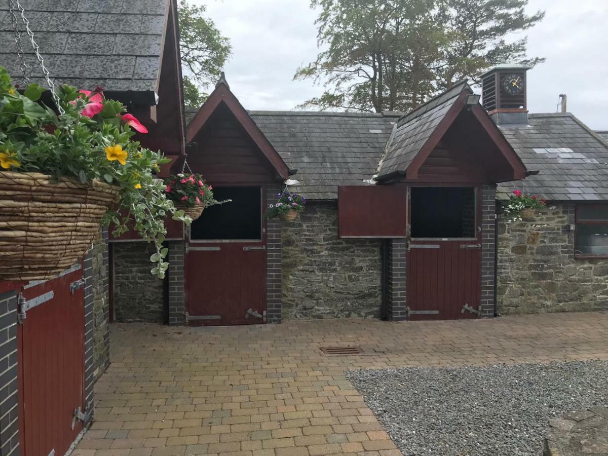Llangwyryfon Country Breaks Bed and Breakfast Αμπερίστγουιθ Εξωτερικό φωτογραφία