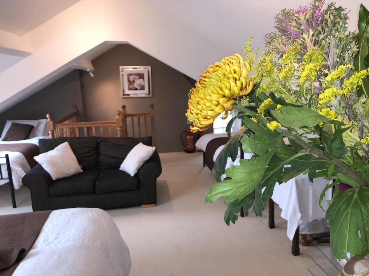 Llangwyryfon Country Breaks Bed and Breakfast Αμπερίστγουιθ Εξωτερικό φωτογραφία